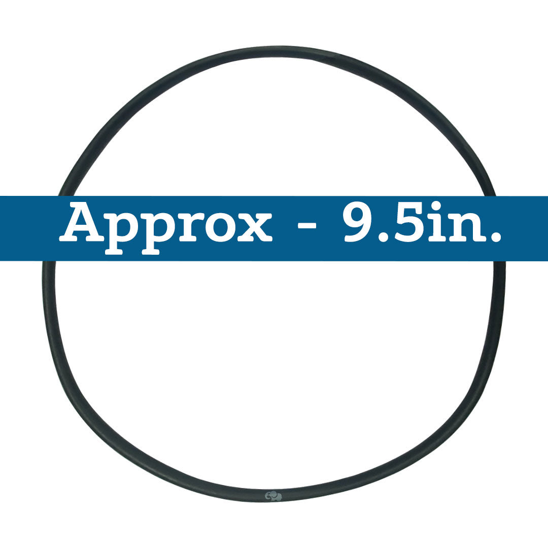 Hayward (SPX4000T) Seal Plate O-Ring NorthStar | O-239-BAGGED