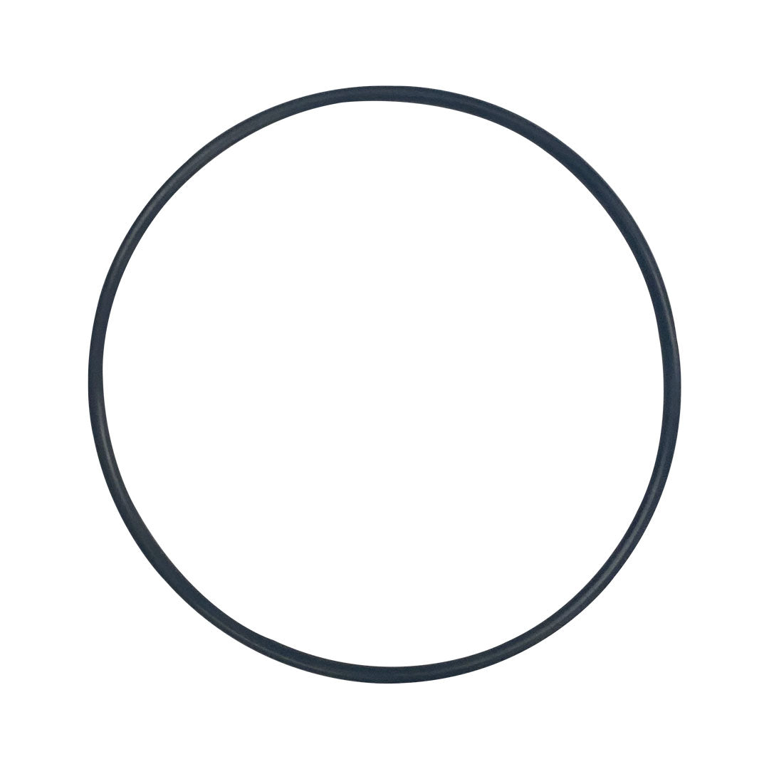 Pentair (263042Z) O-Ring Only For Check valve Assembly || O-248-BAGGED