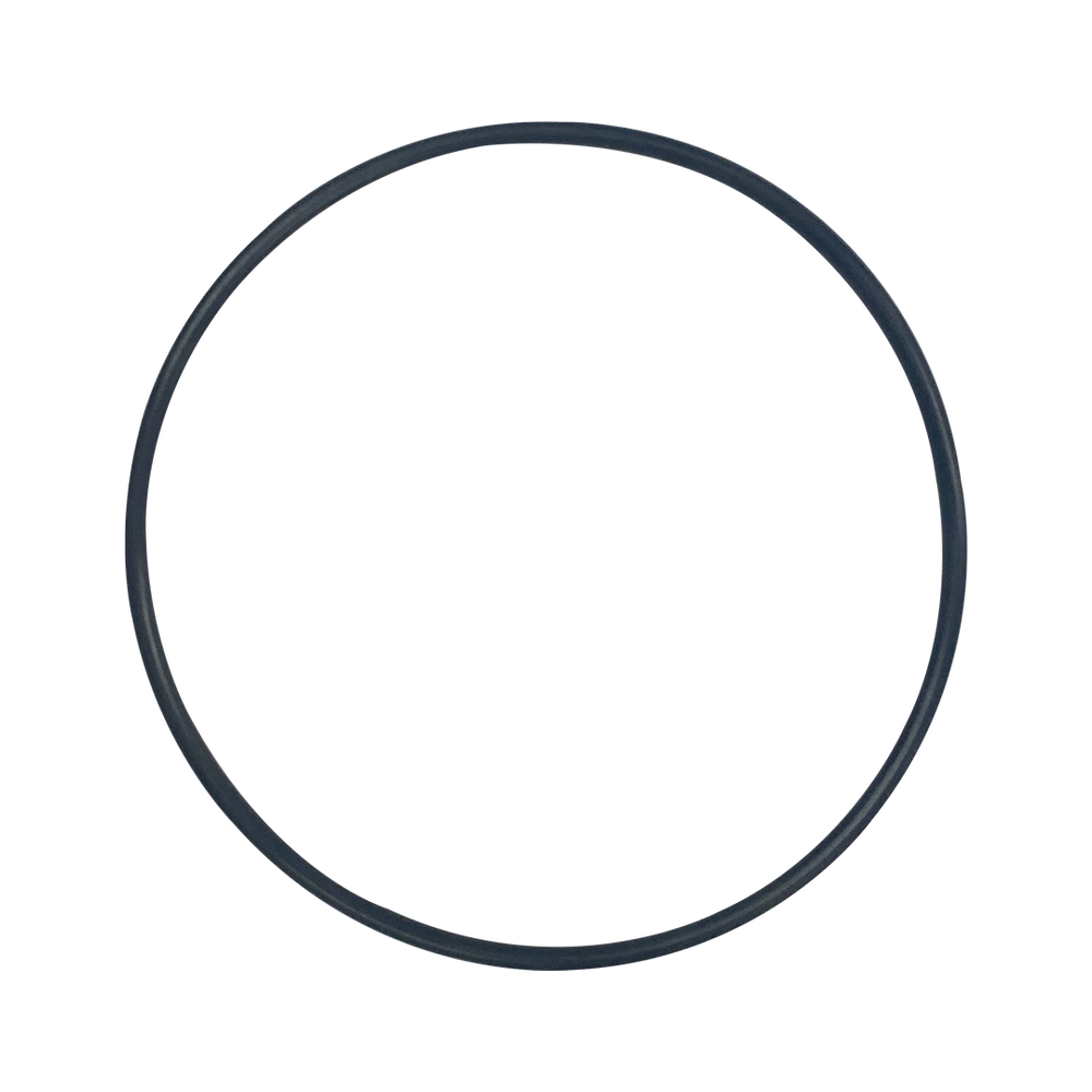 Pentair (263042Z) O-Ring Only For Check valve Assembly || O-248-BAGGED