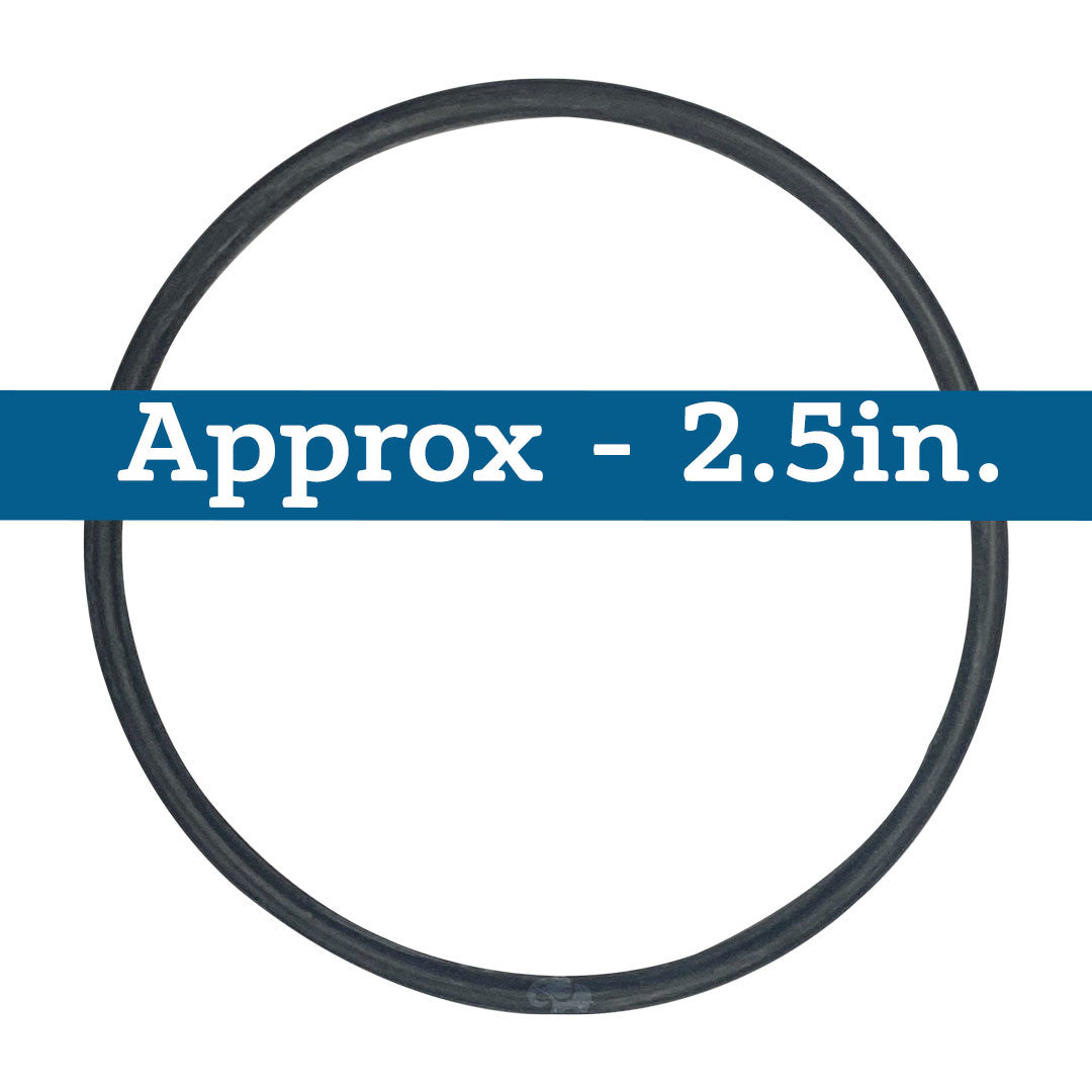 Black rubber O-ring, approximately 2.5 inches in diameter