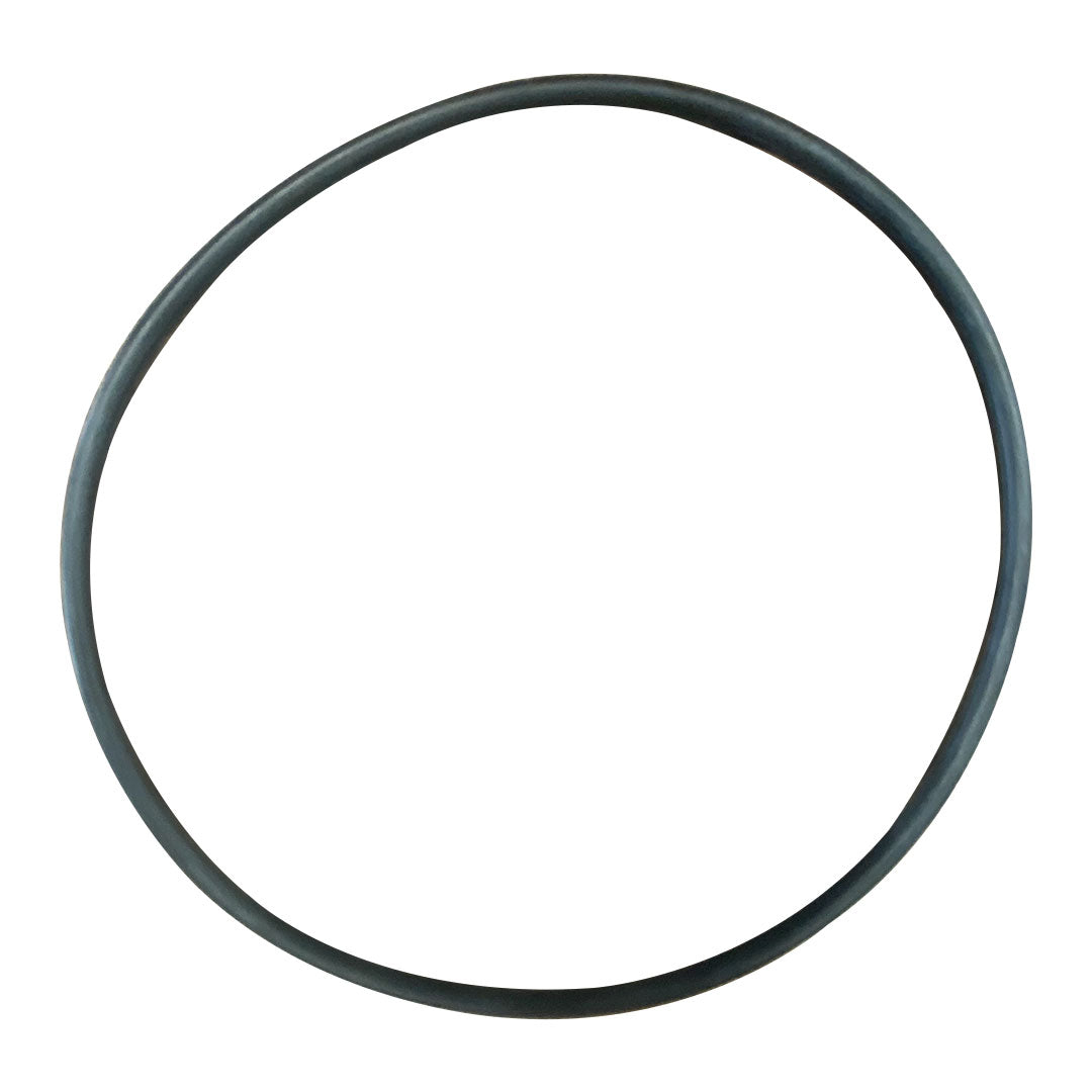 Hayward strainer body O-ring gasket, black rubber ring.