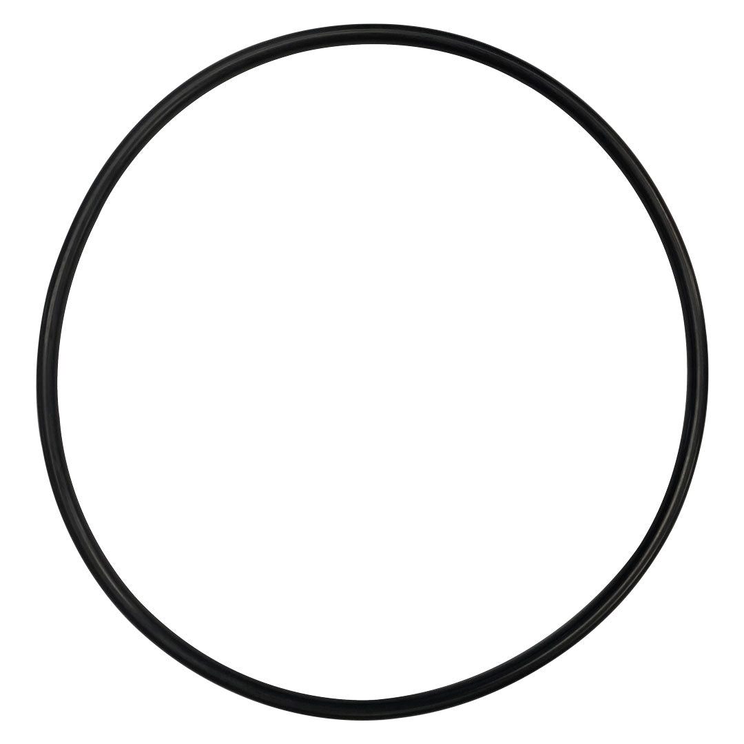 Hayward (GMX600F) Valve to Filter Lid O-Ring | O-263-BAGGED