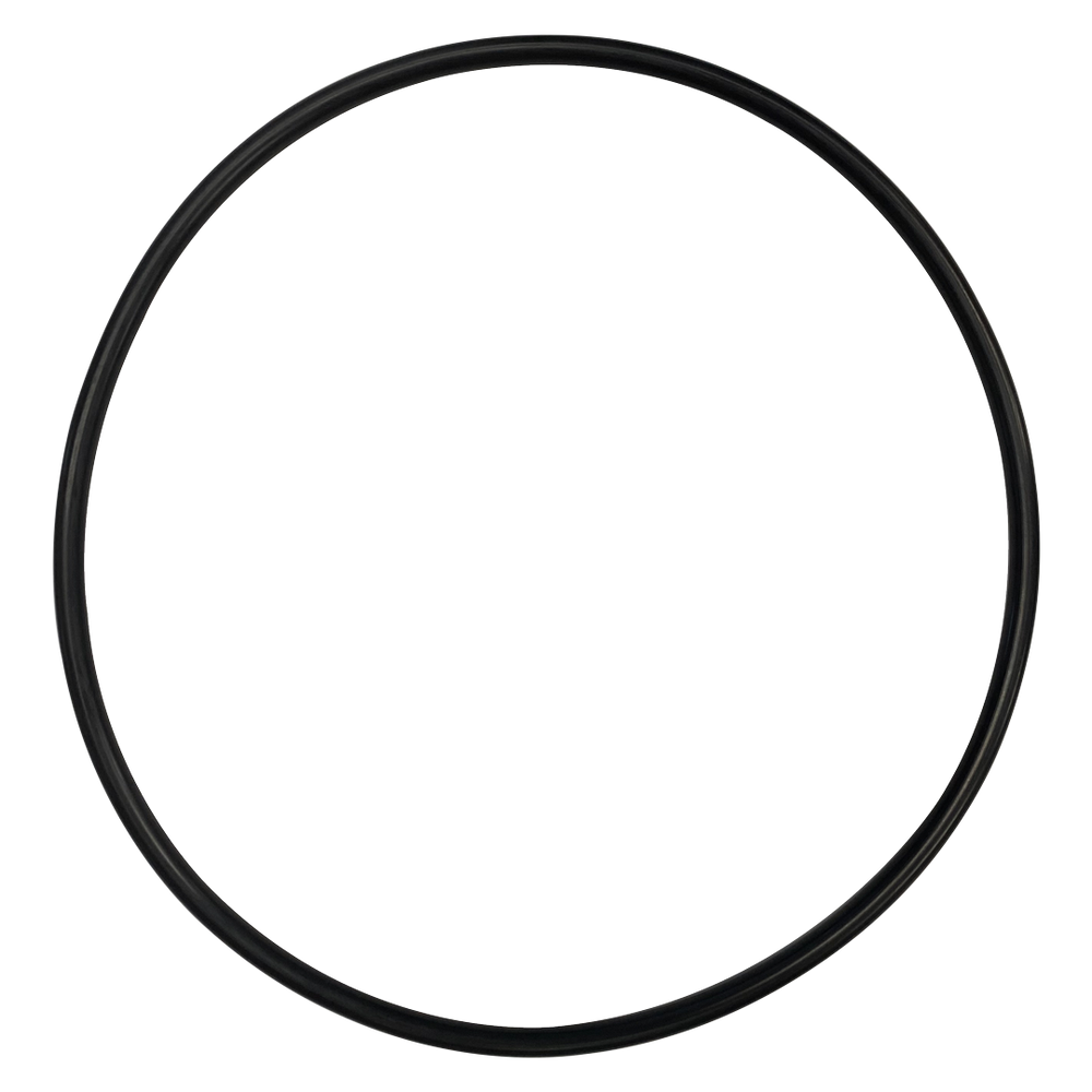 Hayward (GMX600F) Valve to Filter Lid O-Ring | O-263-BAGGED