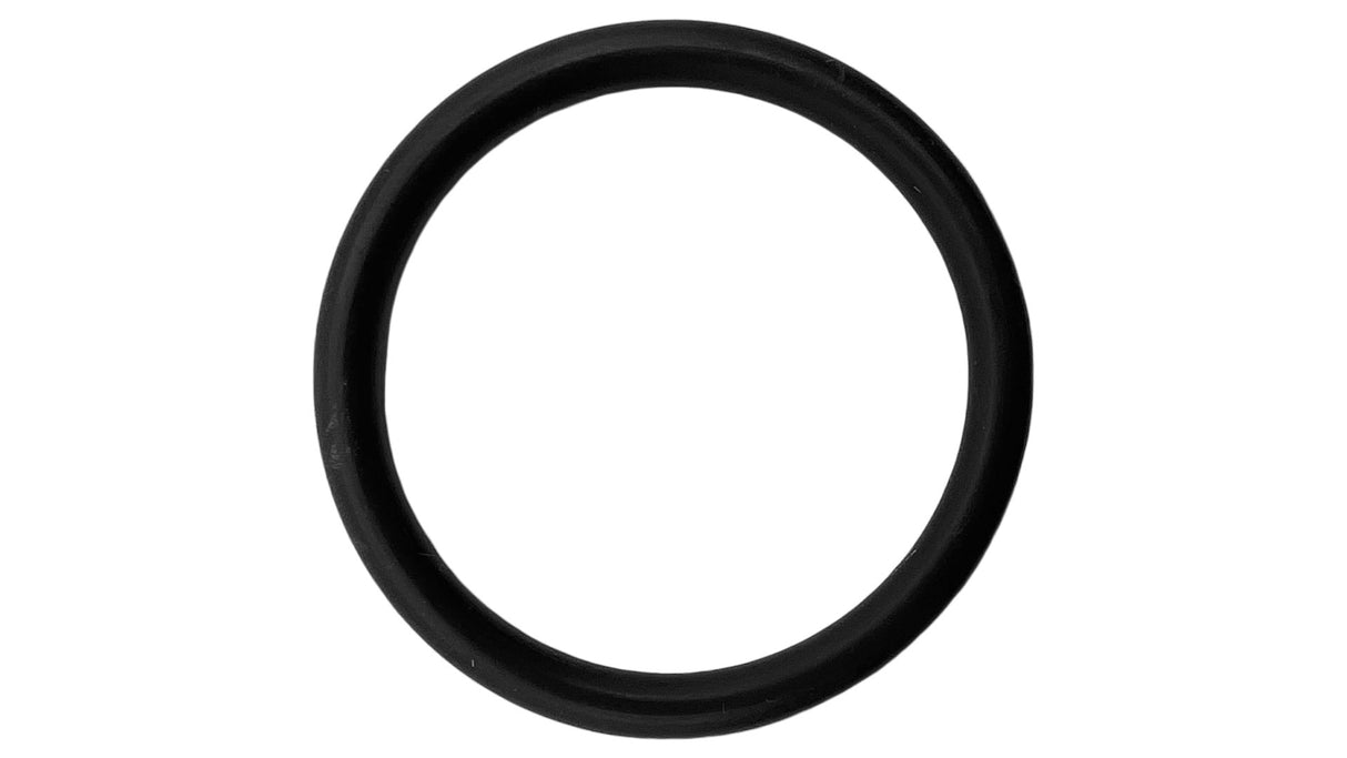 Anthony New Style Piston O-Ring || O-282-BAGGED