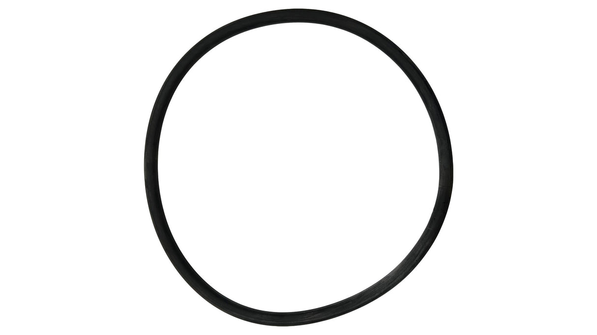 Swimrite (28-828-689) Marathon Filter O-Ring || O-289-BAGGED