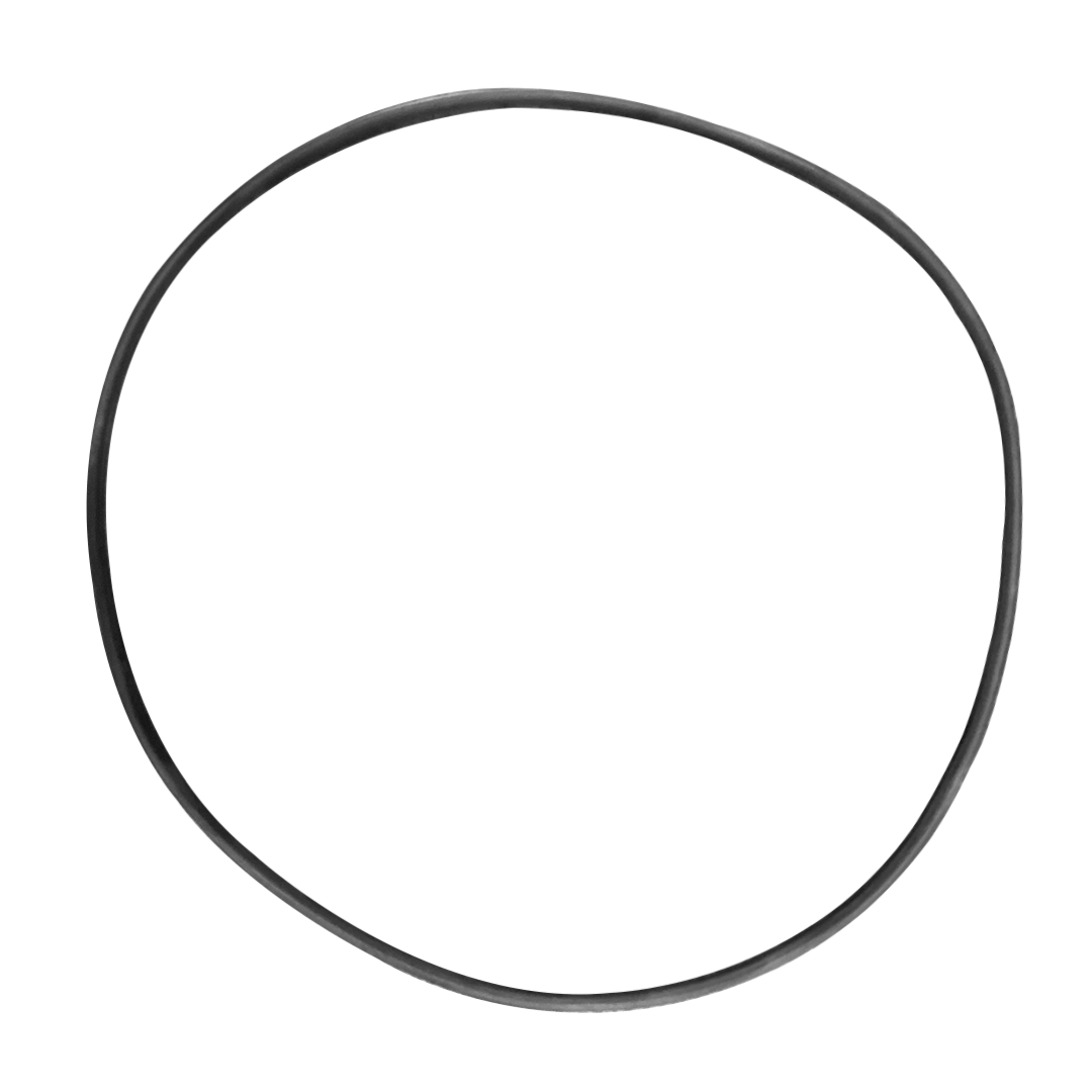Gould Old Style Turbo Valve O-Ring | O-313-BAGGED