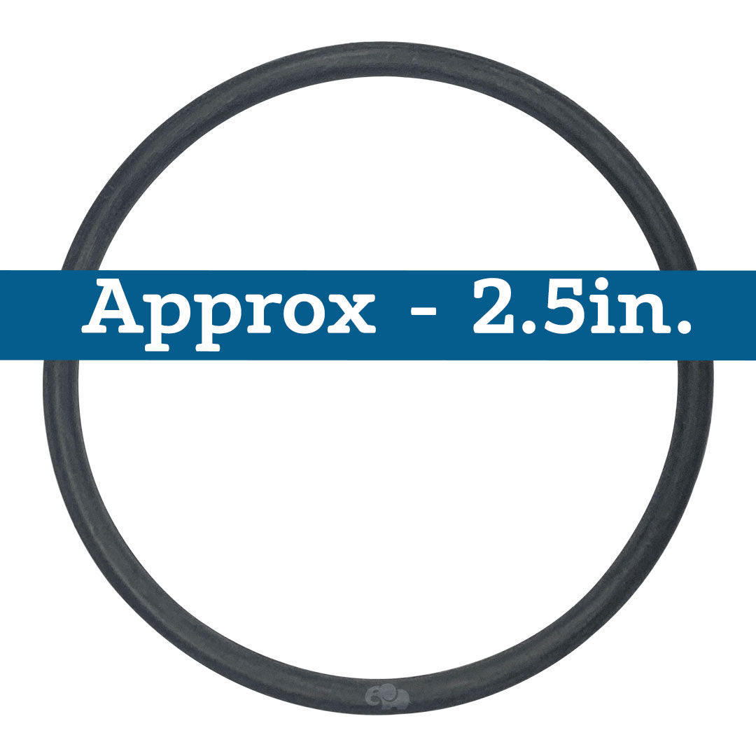 Black replacement O-ring, approximately 2.5 inches in diameter