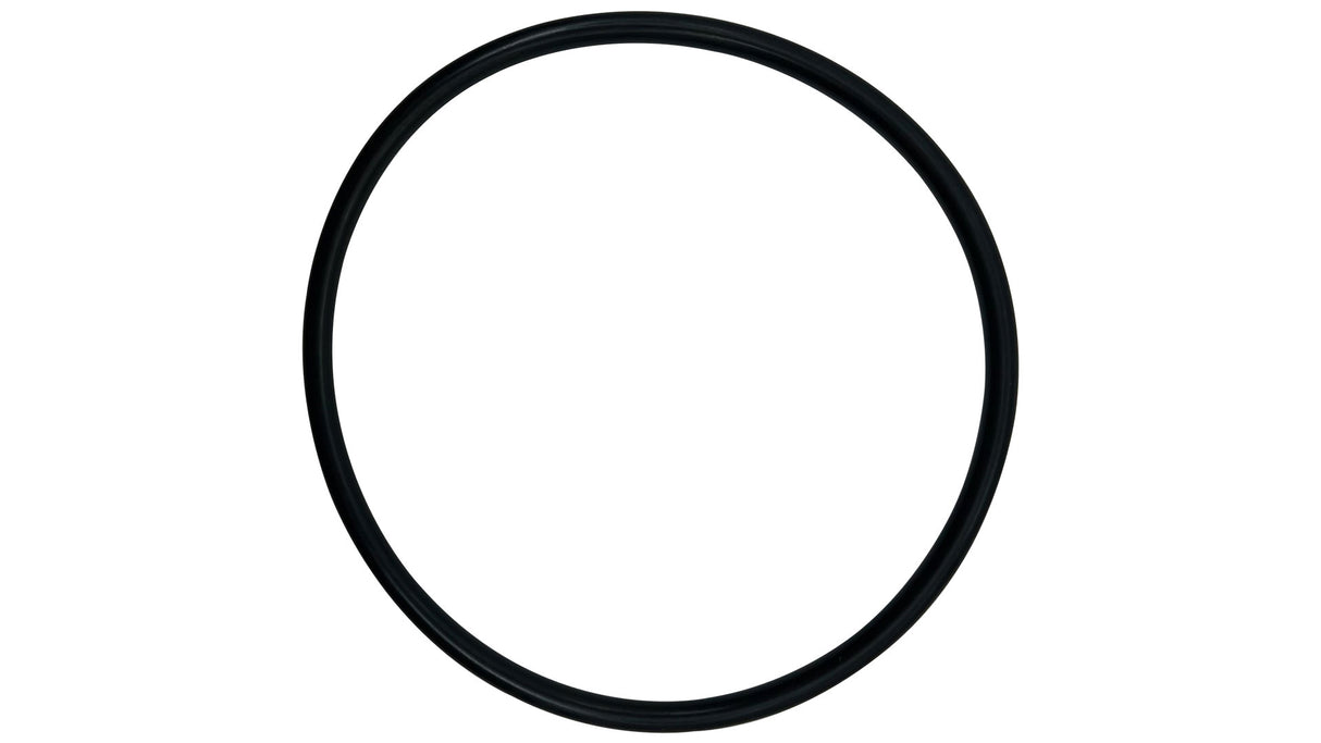 Pentair (350013) Pot Flange O-Ring EQ Series || O-318-BAGGED