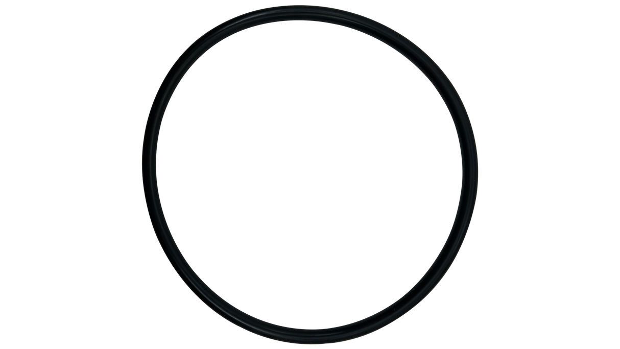 Pentair (350013) Pot Flange O-Ring EQ Series || O-318-BAGGED