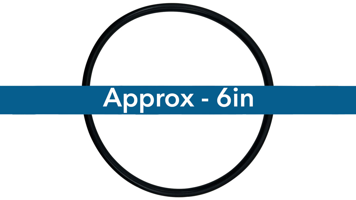 Pentair (350013) Pot Flange O-Ring EQ Series || O-318-BAGGED