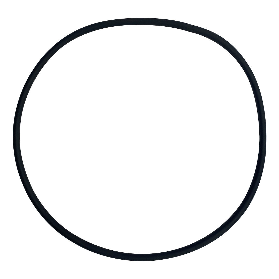 Sta-Rite (U9-259) Separation O-Ring | WS-O-323-BAGGED