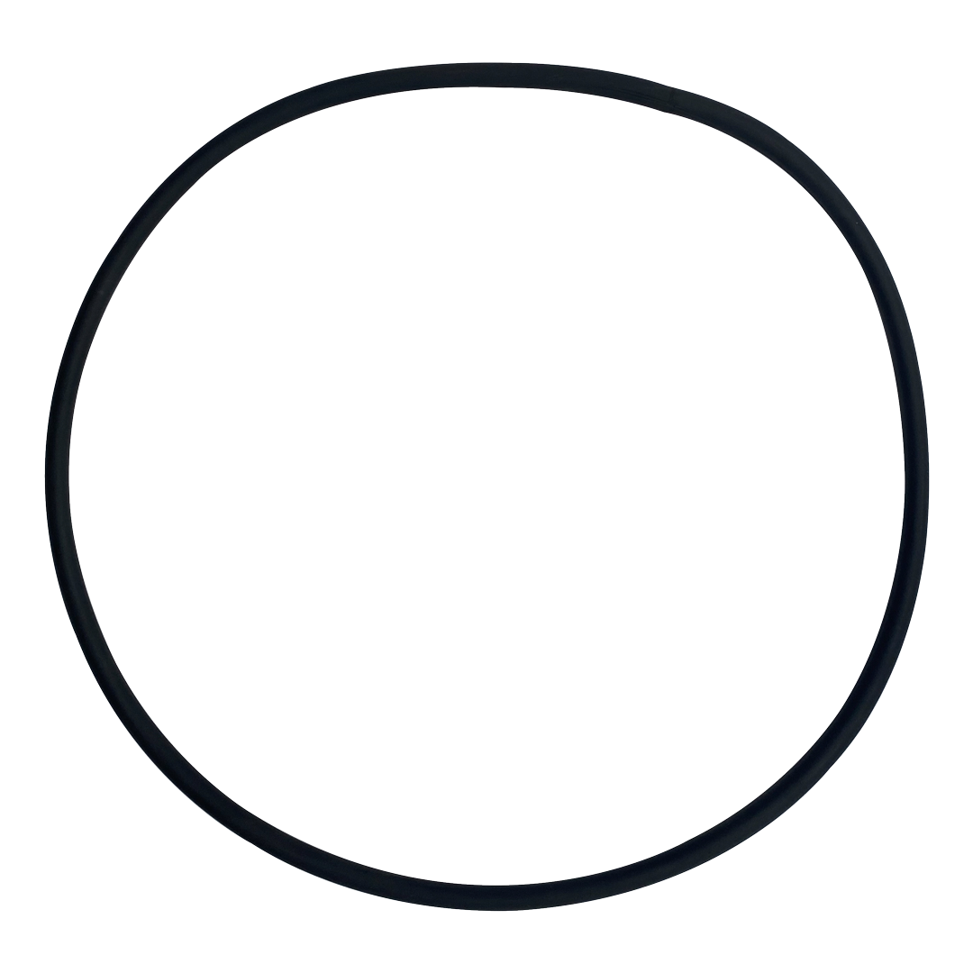 Sta-Rite (U9-259) Separation O-Ring | WS-O-323-BAGGED