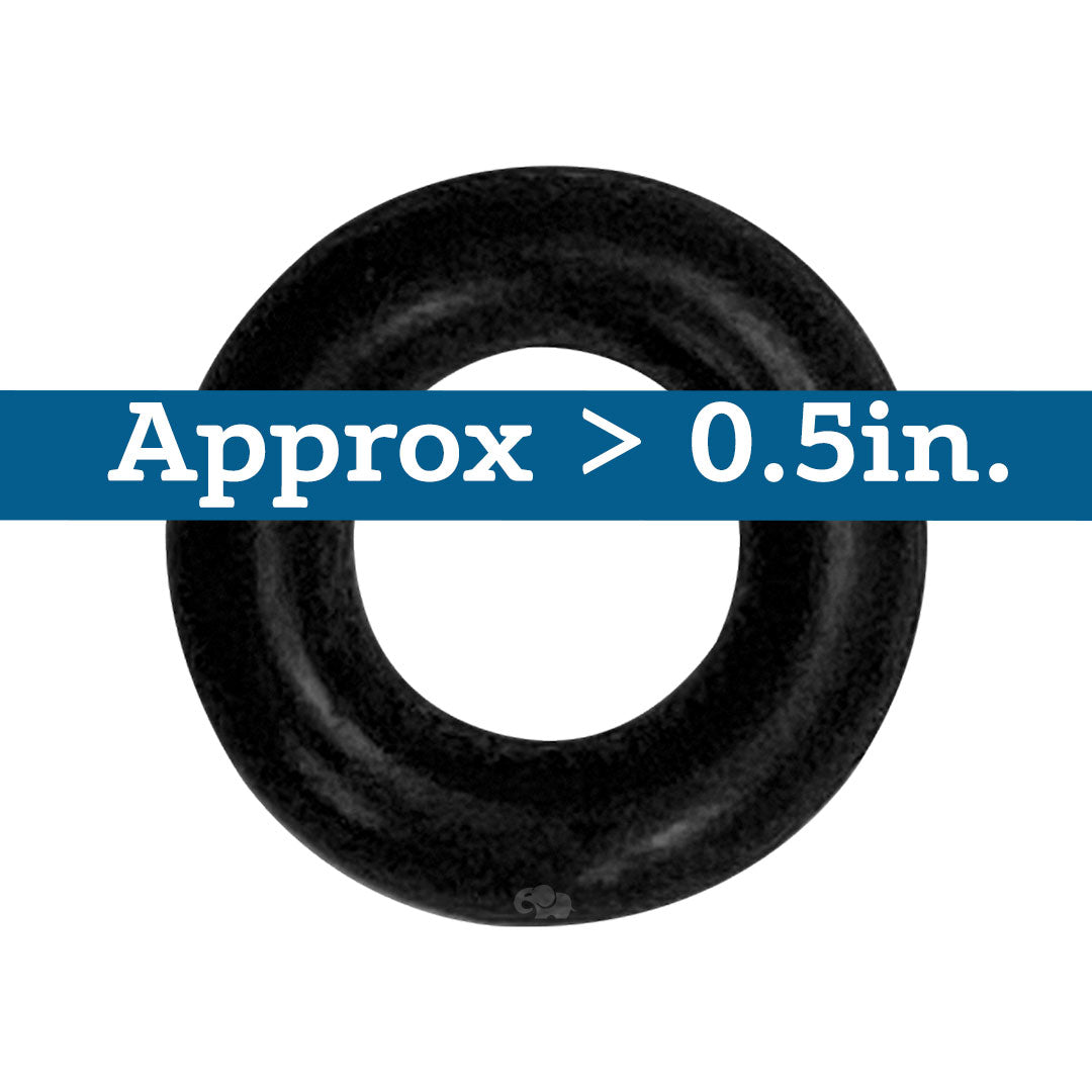 Black Viton O-ring, approximately 0.5 inch diameter