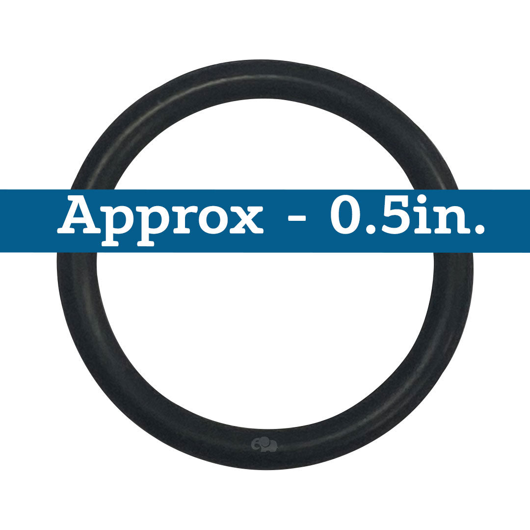 American (470642) Titan CM Lid, Quantum CM Filter O-Ring Viton || O-350V-BAGGED