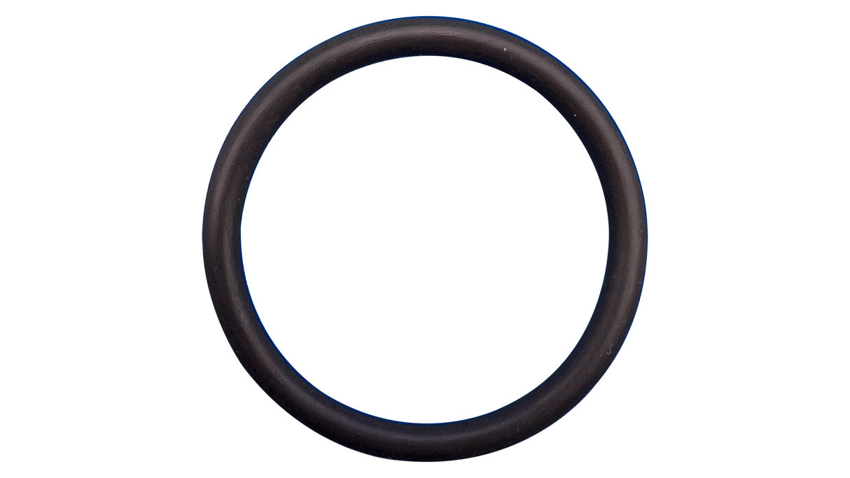 O-354V-Bagged Gasket - Aladdin