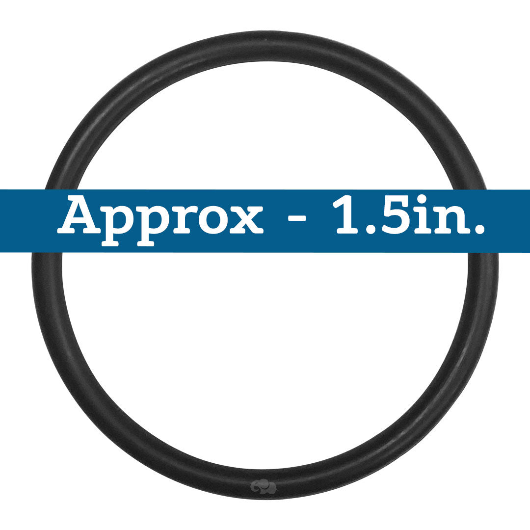 Black PTFE O-ring seal, approximately 1.5 inches in diameter
