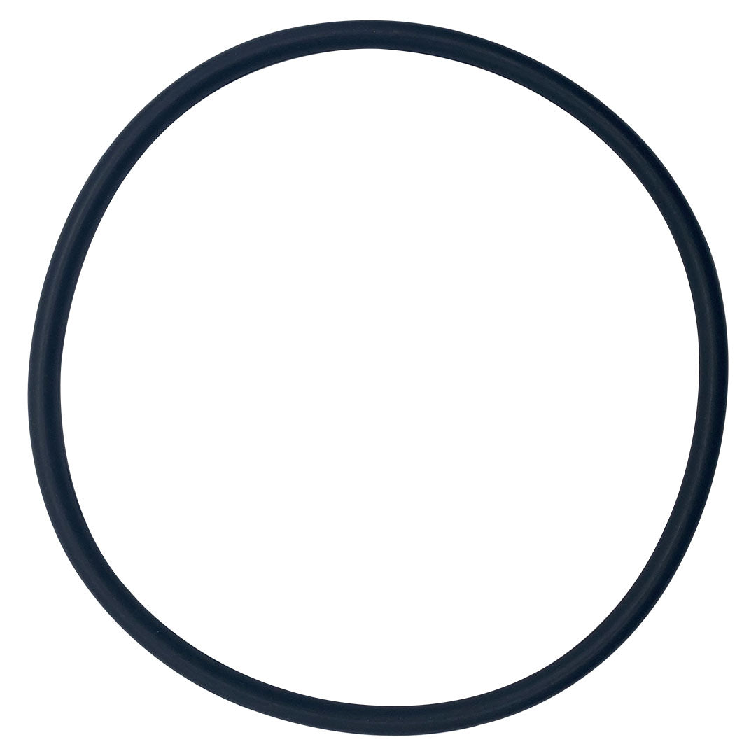 Hayward (CX800F) 800 & 1100 Cartridge Lid O-Ring | O-366-BAGGED