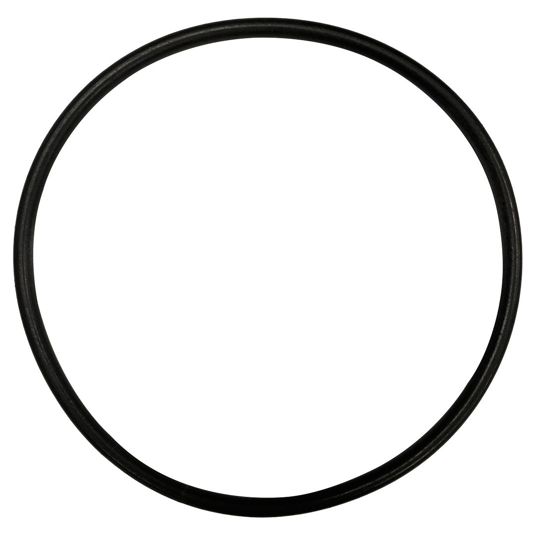 Premier (25-311) Pump Lid O-Ring | O-378-BAGGED