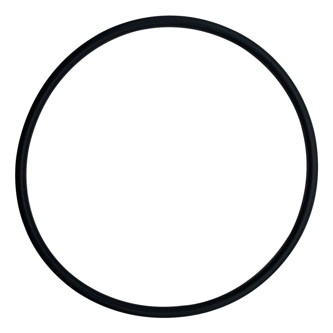 Pentair Upper Bulkhead O-Ring for 2" DE Filters & Cartridges | 192320