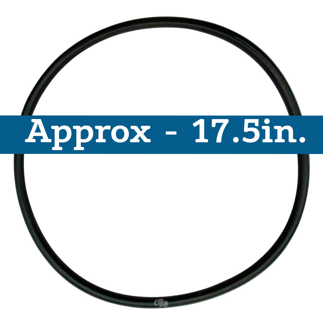 Hayward (DEX360K) Micro Clear & Vertical DE S/S CS3000S, C4000S, Tank Ring | O-430-BAGGED