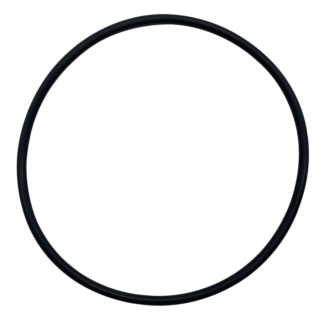 Black rubber O-ring gasket on a white background.