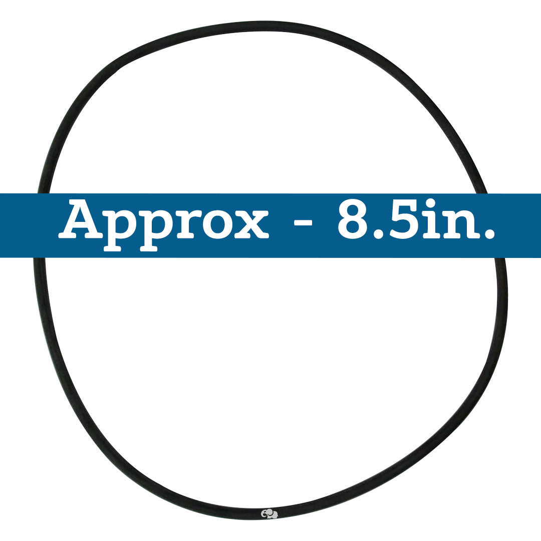 Waterway (8050383) 50/150 Sq. Ft. Tank O-Ring | O-473-BAGGED