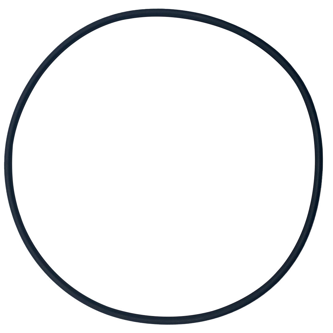 Black circular O-ring seal for Purex RP/RPFAPF/R Series 400/401/500/501 seal plate.