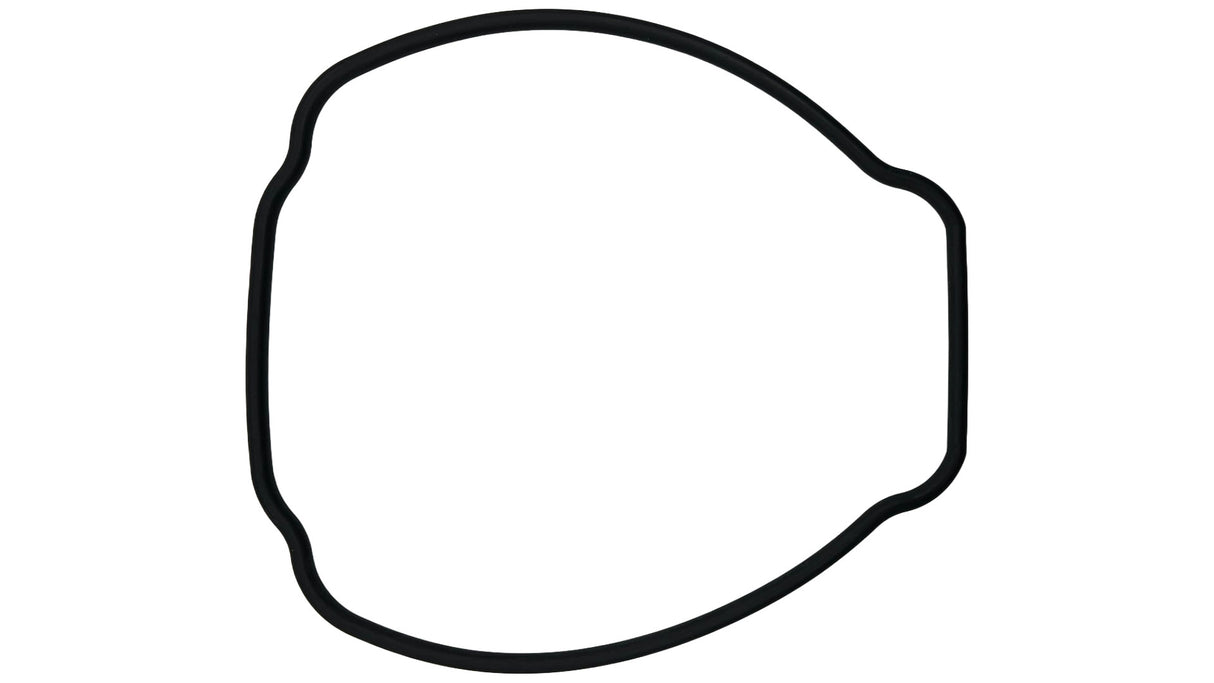 Hayward TriStar VS 900/950 Omni Pump Housing O-ring || SPX3200T