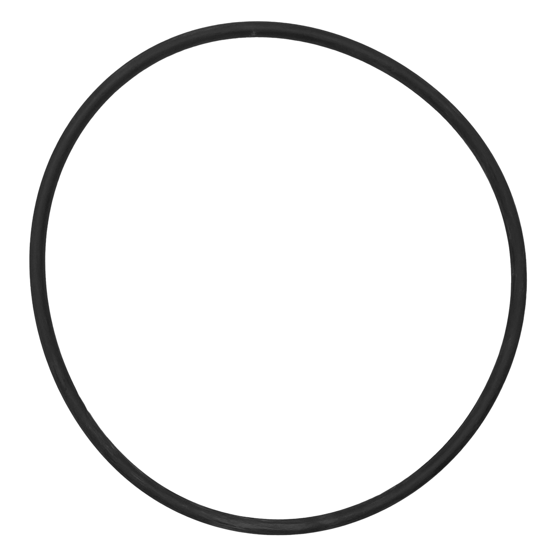 IntelliFloXF/WhisperFloXF VSF/VS Pump Seal Plate O-Ring || 351446
