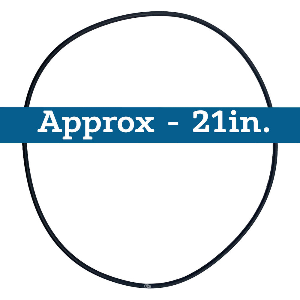 Hayward (CCX1000G) XStream Body O-Ring || O-542-BAGGED