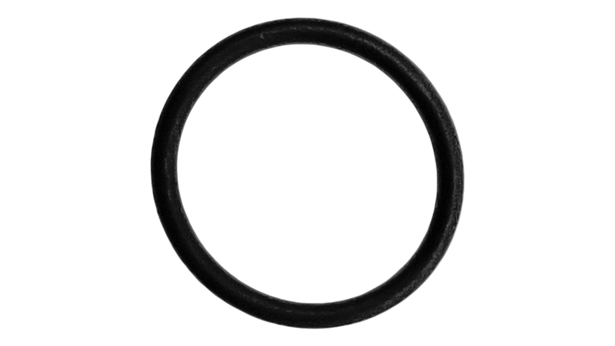 O-605-Bagged Gasket - Aladdin