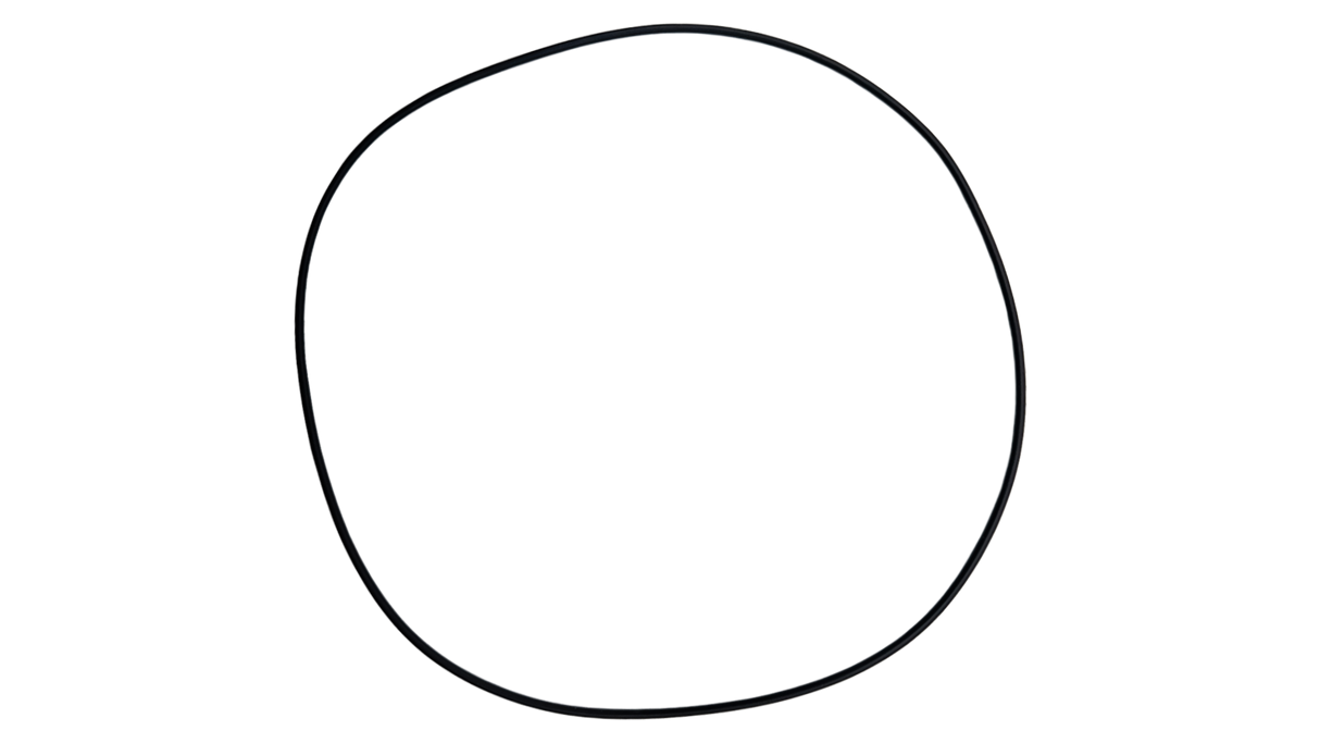 O-625-Bagged Gasket - Aladdin
