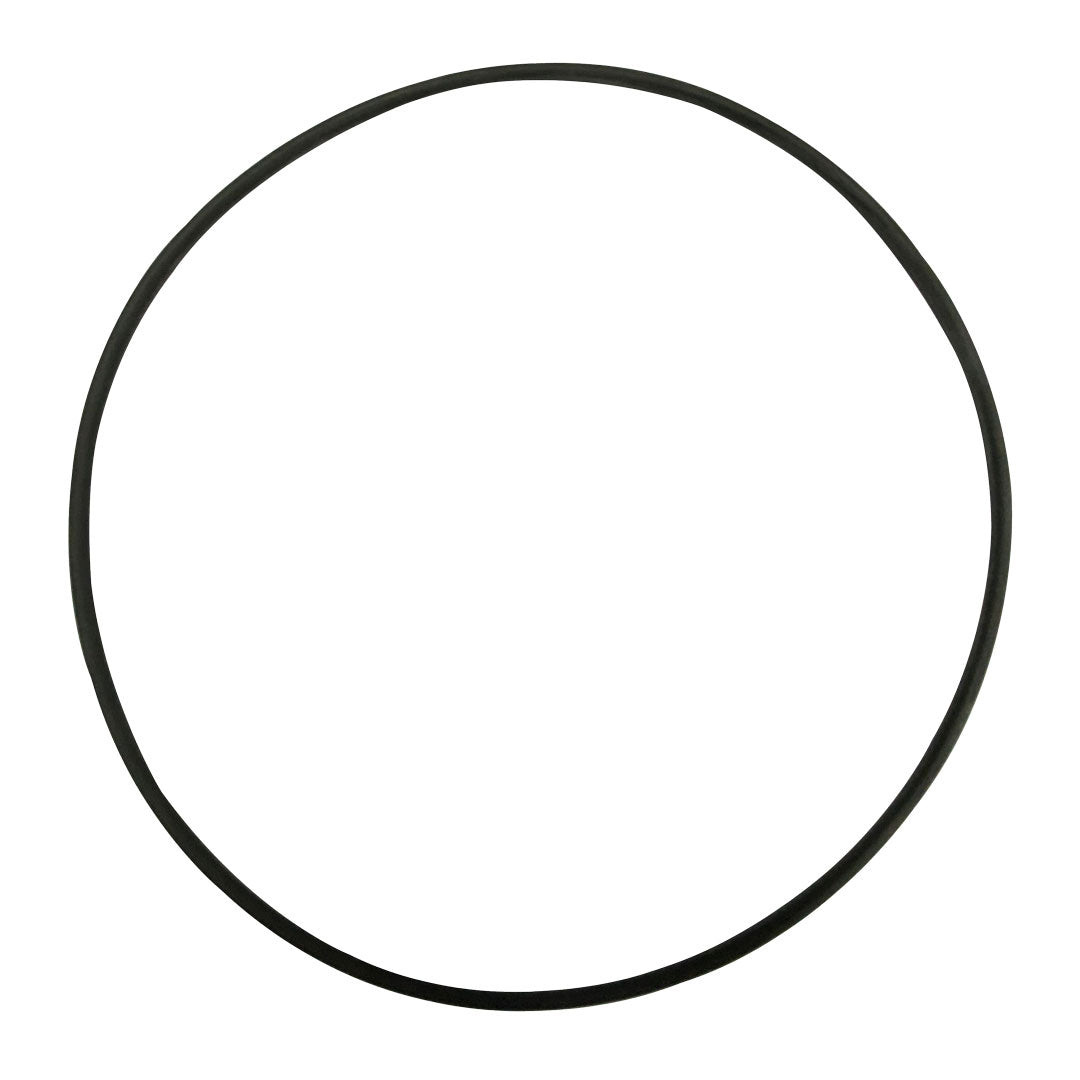 Black circular rubber O-ring gasket on white background