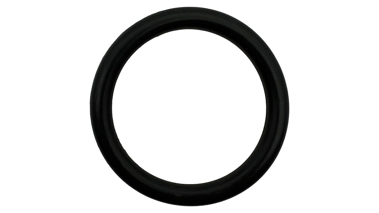 Advance (0V-11-325) Chlorinator O-Ring || O-71-BAGGED