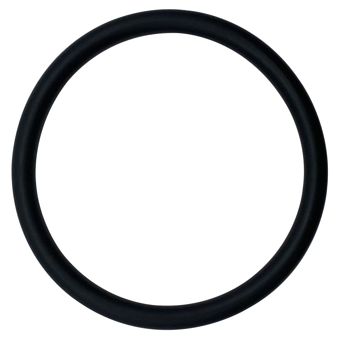 Advance (0V-11-332) Chlorinator O-Ring | O-83-BAGGED