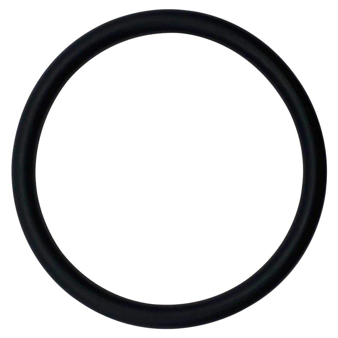 Advance (0V-11-332) Chlorinator O-Ring | O-83-BAGGED