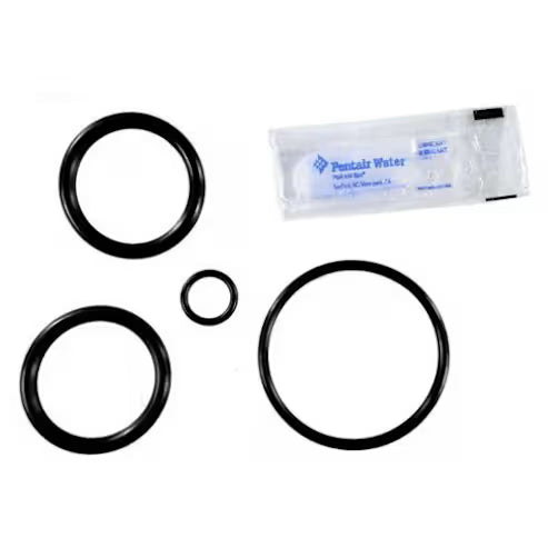 Pentair 2" PVC Slide Valve O-Ring Kit | 273109