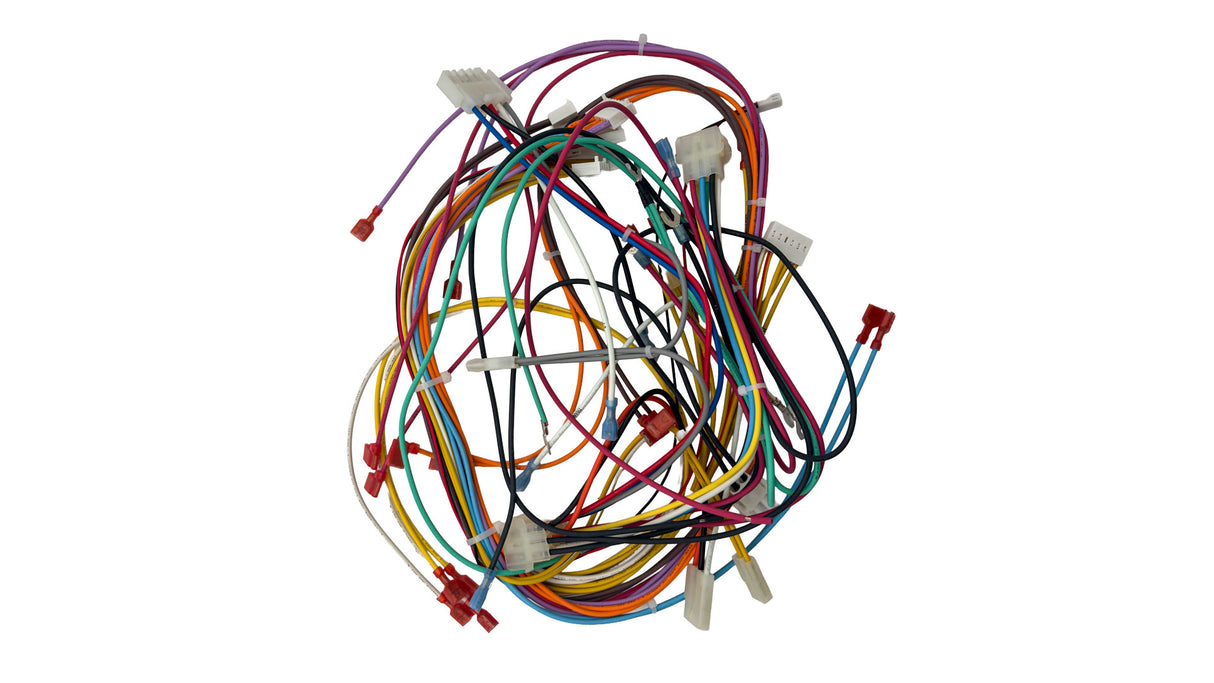 Pentair Domestic Wire Harness with FC Assembly | 461107