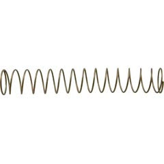 Pentair 1 lb Stainless Steel Check Valve Spring | 072523