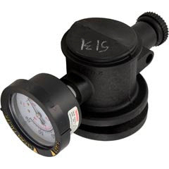 Pentair 2-3/8" Automatic Air Relief Assembly | 261003