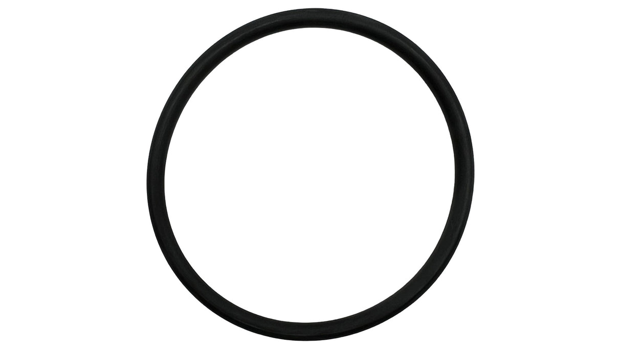 Zodiac O-Ring for Jandy AquaPure Ei Lock Ring | Model R0511600
