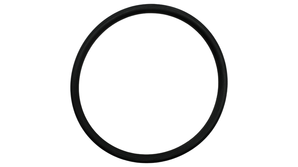 Zodiac O-Ring for Jandy AquaPure Ei Lock Ring | Model R0511600