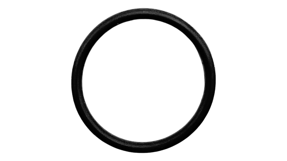 Polaris O-Ring 21x2 MM Kit, 9400 | R0544100