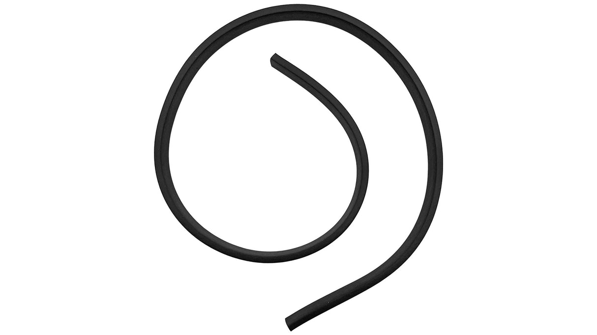 Polaris Canister Seal | R0898300