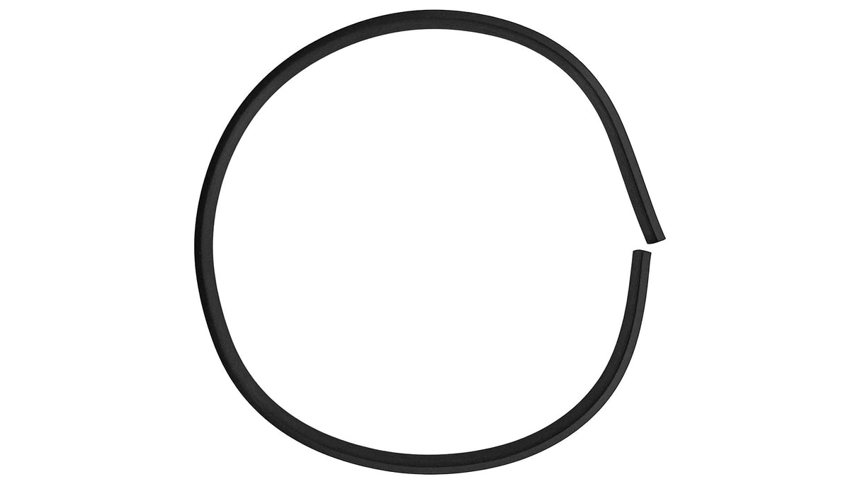 Polaris Canister Seal | R0898300