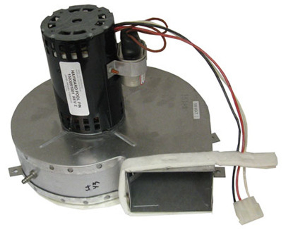 COMBUSTION BLOWER 120VAC | IDXLBWR1931