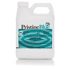 PristineBlue Non‑Chlorine Algaecide / Bactericide – 64 fl oz | 12775