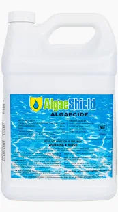 AlgaeShield | 32091 – 1 Gallon Advanced Pool Algaecide