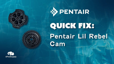 Pentair Lil Rebel Cam Overview!