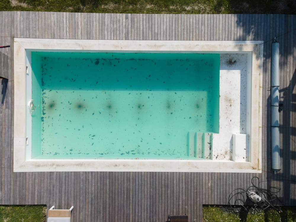 How To Get Rid of Black Algae In Your Pool